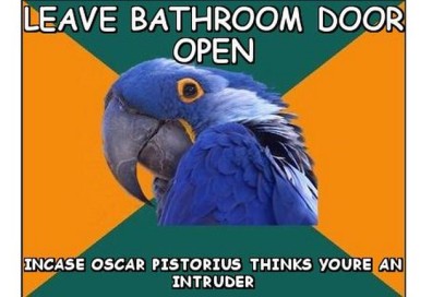 (Source: memegenerator.net "Paranoid Parrot Oscar Pistorius Meme")