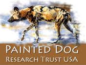 painted-dog-research-trust